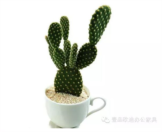 輕松解決辦公室內(nèi)各種污染！