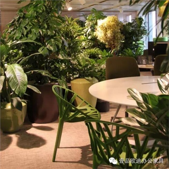 為什么辦公室里一定要養(yǎng)植物？-壹品歐迪辦公家具
