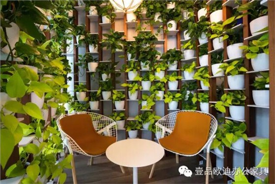 為什么辦公室里一定要養(yǎng)植物？-壹品歐迪辦公家具