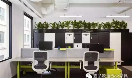 為什么辦公室里一定要養(yǎng)植物？-壹品歐迪辦公家具