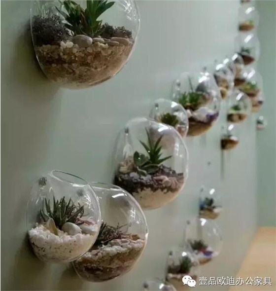 為什么辦公室里一定要養(yǎng)植物？-壹品歐迪辦公家具