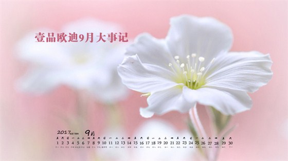 壹品歐迪9月大事記