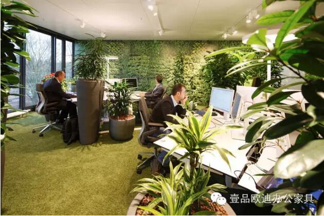 為什么辦公室里一定要養(yǎng)植物？-壹品歐迪辦公家具