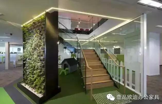 為什么辦公室里一定要養(yǎng)植物？-壹品歐迪辦公家具